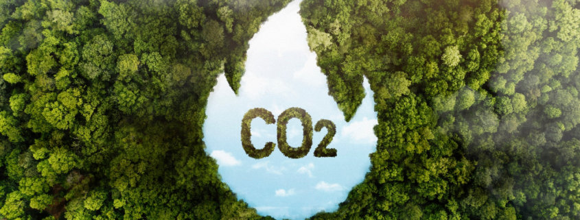 Emisi Karbon - Wastec International