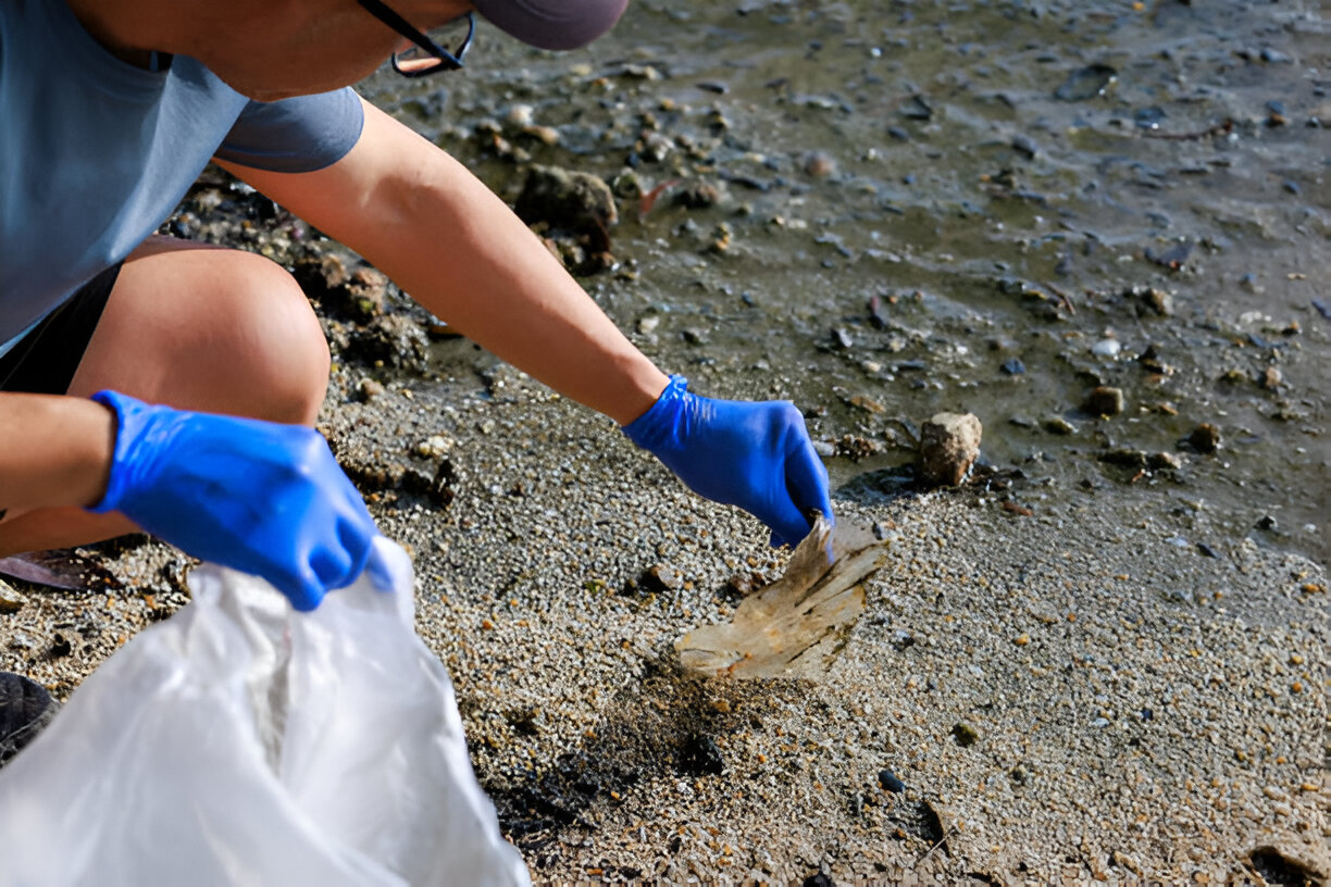 sampah di laut