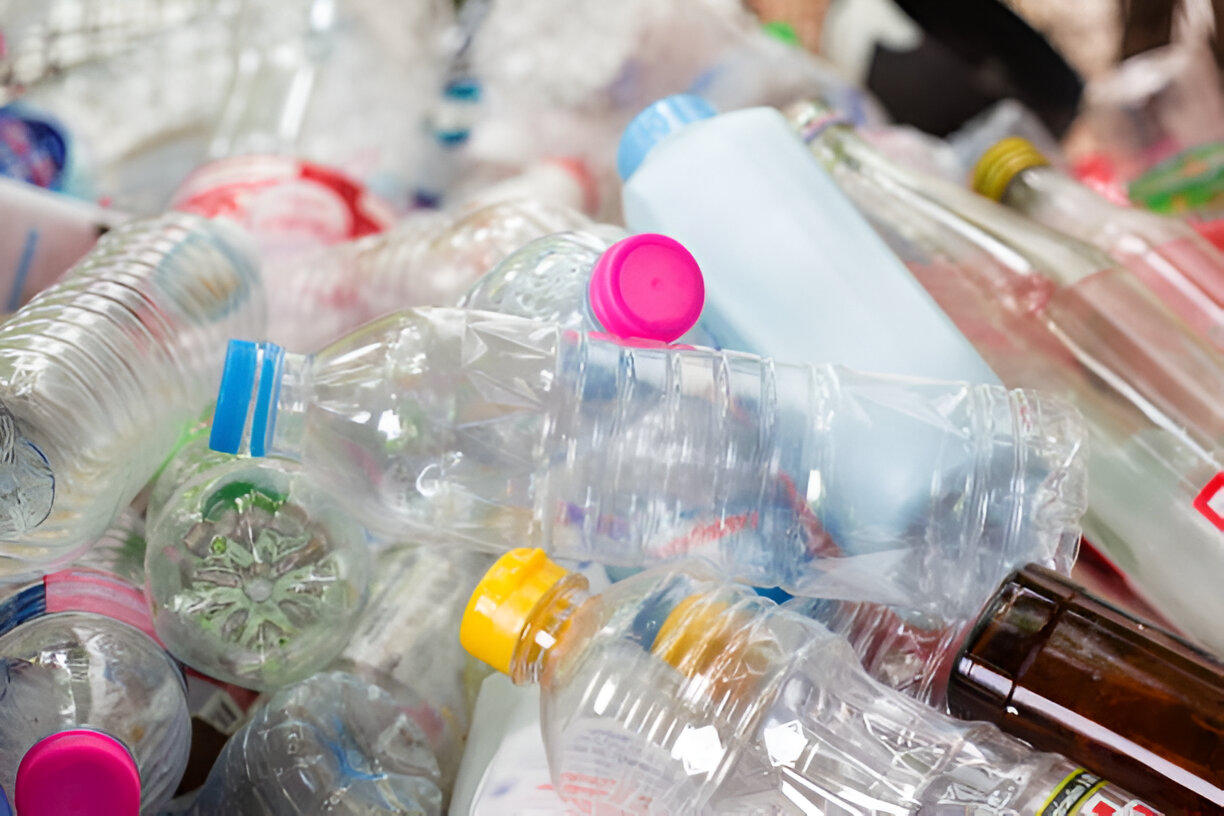 kemasan makanan plastik